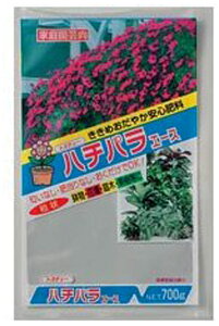 g`[ n`pG[X 700g #039598 엿