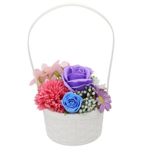 BACKYARD FAMILY(obN[ht@~[) \[vt[ CgAWS(p[vu[) BF023695-1A-2B [BF0236951A2B]