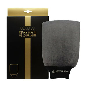 XpV ԗpO[u@xA~bg 6129 SPASHAN