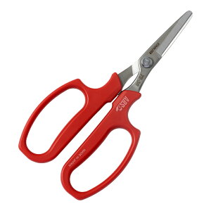 AX ؎n  XeX YS-38(AX)