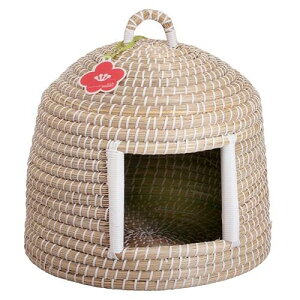 Lpi ɂ񂱂̂  hM[}nV jRm`O 