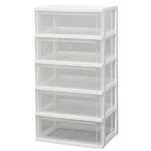 ACXI[} Ch`FXg 5i W-545 IRIS [W545]