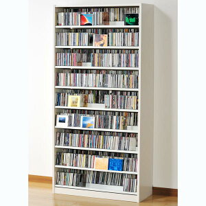 I[NX ^fCDXgbJ[@zCg TCS890W [FCDő1503ADVDő672