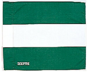 �Z�v�^�[ ���O�r�[ �t���b�O 35×40cm�i�O���[��/�V���j SP-SP81-4 SCEPTRE
