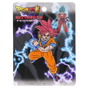 ��_���� �h���S���{�[���� �r�b�O�V�[�����b�y�� ����� ���T�C���l�S�b�h DBS016