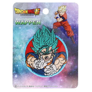 ��_���� �h���S���{�[���� �V�[�����b�y�� �x�W�b�g ���T�C���l�S�b�hSS DBS021