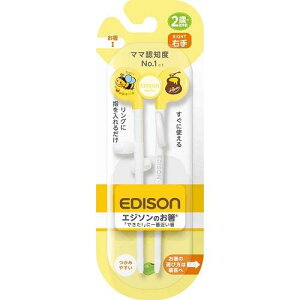 xr[pi GW\̂ CG[ Ep y2΁`zEDISON GW\ GW\mInVCG-