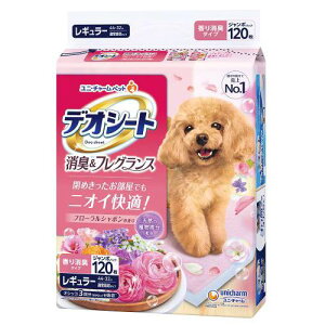 fIV[g LtOX t[V{̍ M[ 120 jE`[ fIV-gt-V{R120