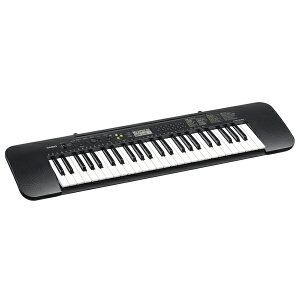 JVI 49L[{[h CTK-240 CASIO