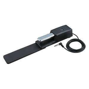 [h _p[y_ DP-10 Roland