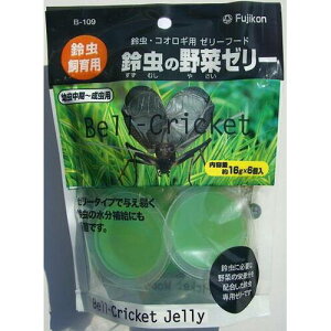 ̃GT 钎̖؃[[ 6 tWR XYVmTC[-