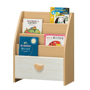 A[ebN G{bN 75561(A-ecN) i@TCY()F563×s265×696mm [75561AecN]