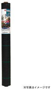 L{V ͖hV[g XO[ 2m×100m 7219 S[fX^[