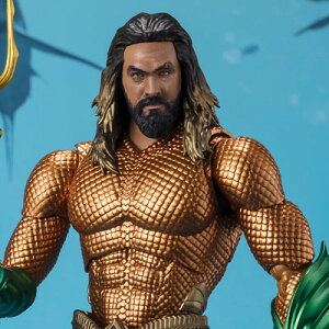 o_CXsbc S.H.Figuarts ANA}iANA}/ꂽj tBMA