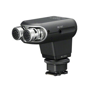 \j[ XeI}CNzuECM-XYST1Mv ECM-XYST1M