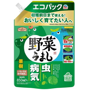 A[XK[f ؂܂ GRpbN 850mL A[X EGTCE}VGRpcN850ML