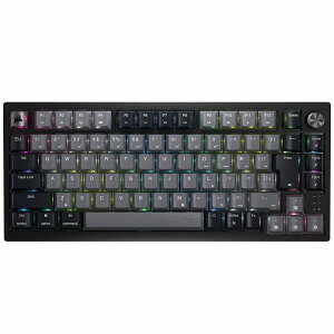 CORSAIRiRZAj L/2.4GHz/Bluetooth CXQ[~OL[{[h {z 75 CORSAIR K65 PLUS WIRELESS JP CH-91D401L-JP