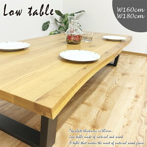 㓡ƋYE샊rO؍H ꖇe[u160cm^Cv VT-01-160-LOW [iƓws][J[i(kCEꌧE͂͂ΏۊOƂȂ܂) [VT01160LOW]