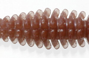 issei rrroO 2.6C`(AJ}cSP)7{ rrroO2.6C`#46 ꐽ bibibibug N[[