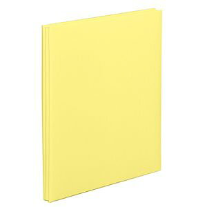 iJoV rXA4TCY100N䎆Ao XEB[gJ[YiCG[j AH-A4F-142-Y Nakabayashi