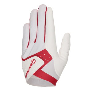 e[[Ch X}[gNX 2.0 O[u pizCg/bhETCYF24cmj UN148-WHRD-24 TaylorMade