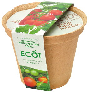 V| GRbg M ~jg}g GD-41109