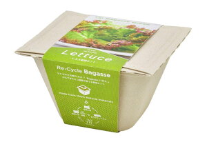 V| oKXO[ (^X) GD-95303