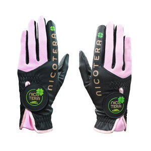 jRe fB[X StO[u p(ubN×sNETCYFM/20`21cm) NTGL-3655-BK-M Nicotera