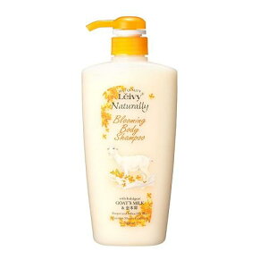 CB[{fBVv[؍ҁ@500ml ANVX CC-{fCSPLNZC