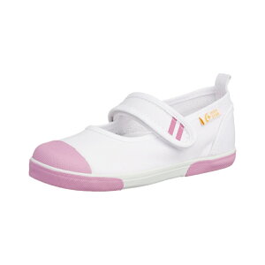 [X^[ LbY XN[V[Y 㗚isNETCYF19.5cmj CRST13-PK-19.5