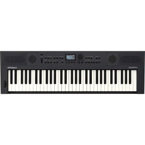 ���[�����h 61���L�[�{�[�h�i�O���t�@�C�g�j GOKEYS5-GT Roland GO:KEYS 5