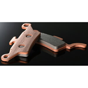 fCgi S[fpbh 15205 DAYTONA