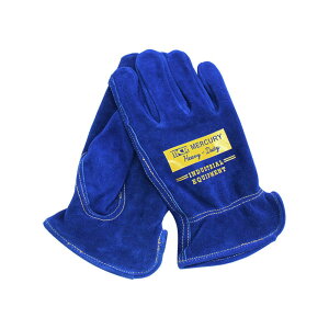 MERCURY(}[L[) [LOO[uiu[j BF021293-1A-2C