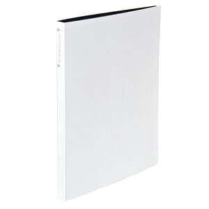 iJoV 2L |PbgAoizCgj CTP2L-80-W Nakabayashi