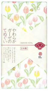 BACKYARD FAMILY(obN[ht@~[) 炩K[[̂Ăʂ(`[bv) BF019699-1A-2F [BF0196991A2F]