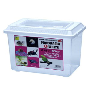 pm} L izCgj OW 399pm} L zCg