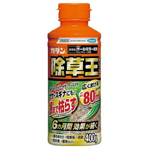 J_I[L[400g t}L[ J_W\EI-L-400