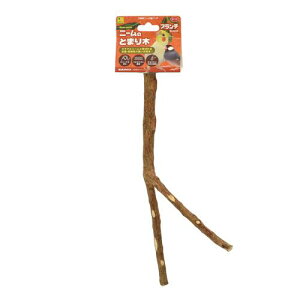 j[̂Ƃ܂ u` OW B116j-mg}M u`