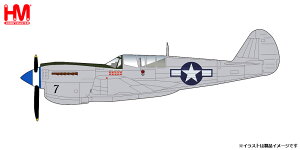 zr[}X^[ 1/72 J[`X P-40N gAJRq WFhEW\@hyHA5510z hϊi