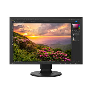 EIZObGC][ tfBXvC(24.1^/IPS/WUXGA 1920×1200/60Hz/19ms/HDMI/DP/USB Type-C/VESA/5Nۏ)(ubN) ColorEdge J[}l[Wgtj^[ CS2400S-BK