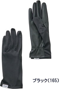 princeivXj fB[X RۃO[uOiBLKETCYFS/16cmj DIW-PG984-165-S