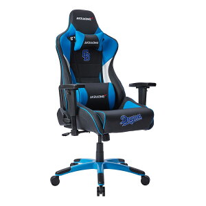 AKRacingiG[P[[VOj Q[~O`FAihSYR{j Pro-X V2V[Y AKRPROXBLUEDRAGONS