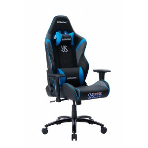 AKRacingiG[P[[VOj Q[~O`FA AKRacing NgX[Y`FA Overture Gaming Chair AKR-TOKYO-YAKULT-SWALLOWS-CHAIR