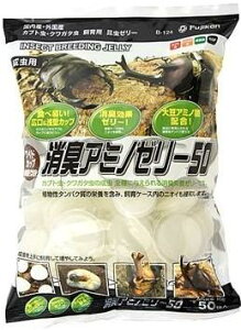 ̃GT ChJbv LA~m[[ 50 tWR ChJcvVEVEA~m50R