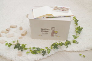 щ RNgBOX([W) ̃W[W RNgBOXLW-W [RNgBOXLWW]