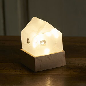 JY Fun@Science@LEDCgnEX 333-305(`^j) [333305`^j]