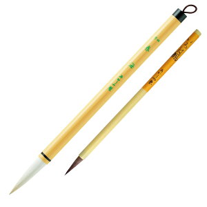  {gi4tC{͕j pM ALS-100