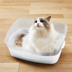 gCENALbg M {rAR VcPgCNALcgM