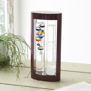 JY Fun@Science@xvXg[OX 333-279(`^j) [333279`^j]