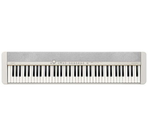 JVI 76L[{[hizCgj CT-S1-76WE CASIO@Casiotone
